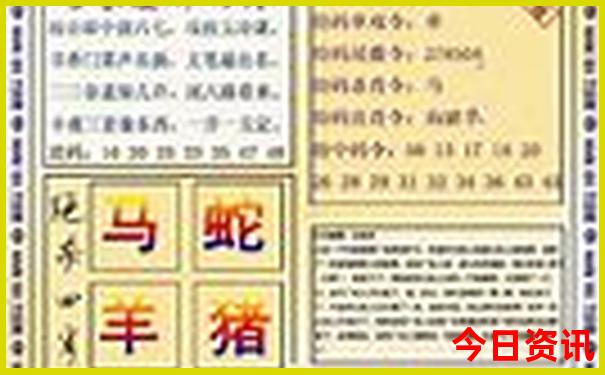 齐市周边游都有哪些景点